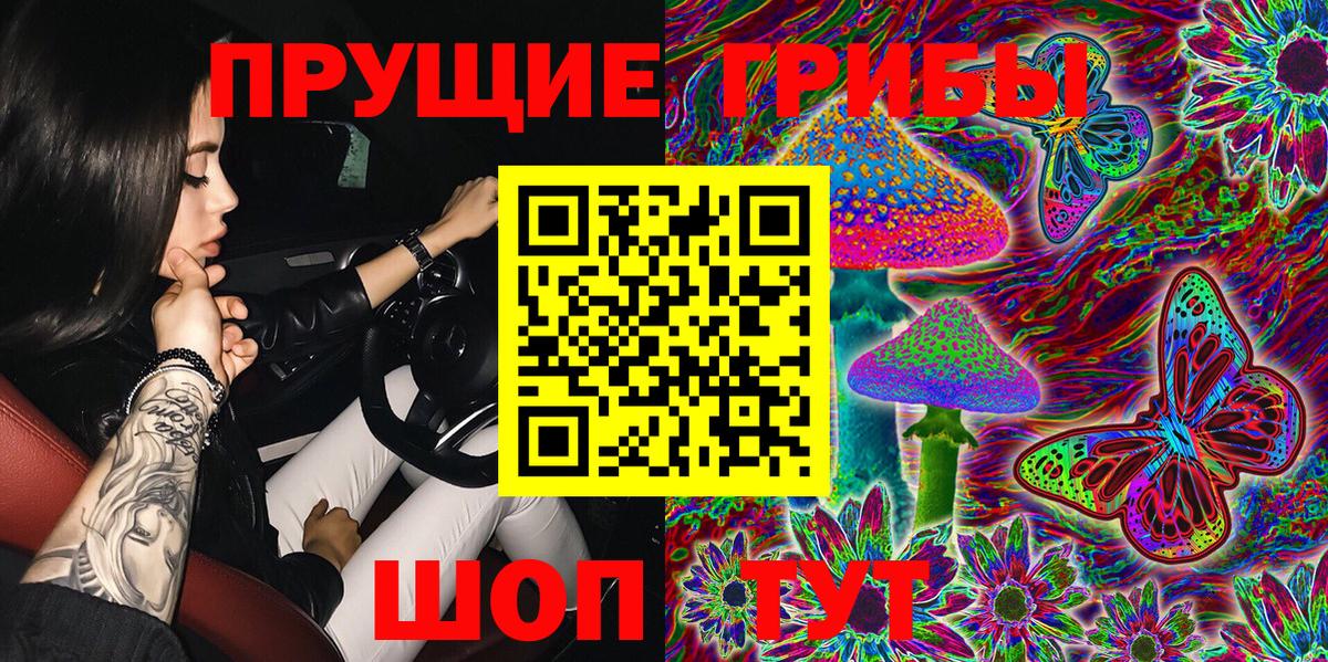 Галлюциногенные грибы Psilocybe  Вход с VPN  Красный Сулин  Псилоцибиновые грибы мицелий 
